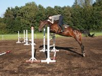 Peter Österdiekhoff und Contida im Training (Foto: C. Müller 2002)