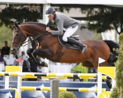 Ludger Beerbaum und Chaman 2013 in Falkenswaard (NED) Global Champions Tour (Foto: S. Grasso, GCT)